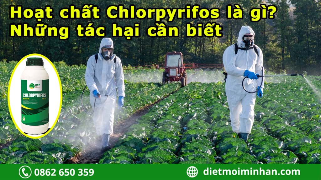 Hoạt chất Chlorpyrifos là gì?