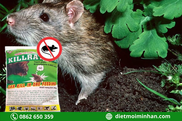 Cách sử dụng killrat