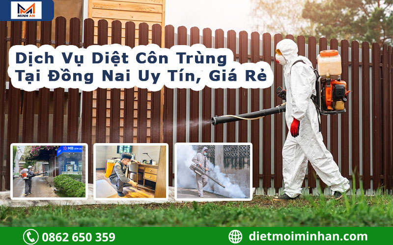 Dịch vụ diệt côn trùng