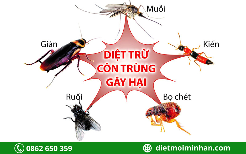 Diệt côn trùng gây hại