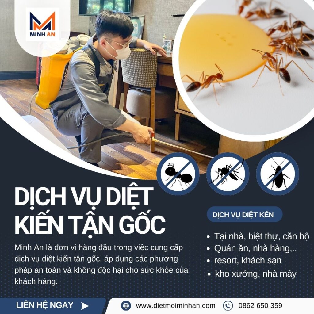 Công ty diệt kiến tận gốc