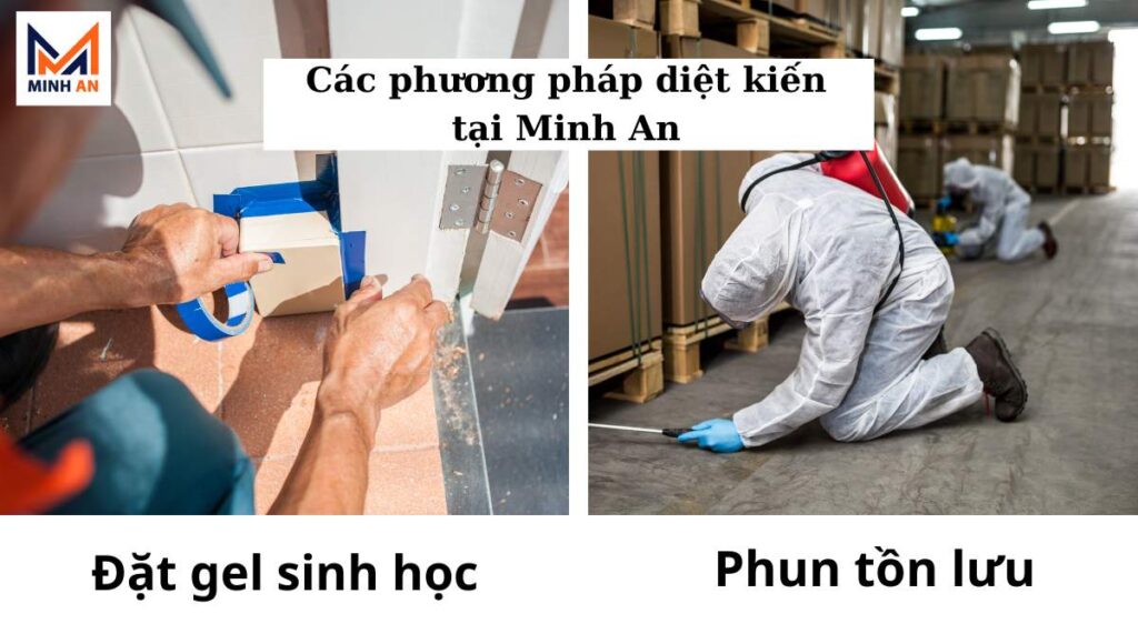 Phương pháp diệt kiến