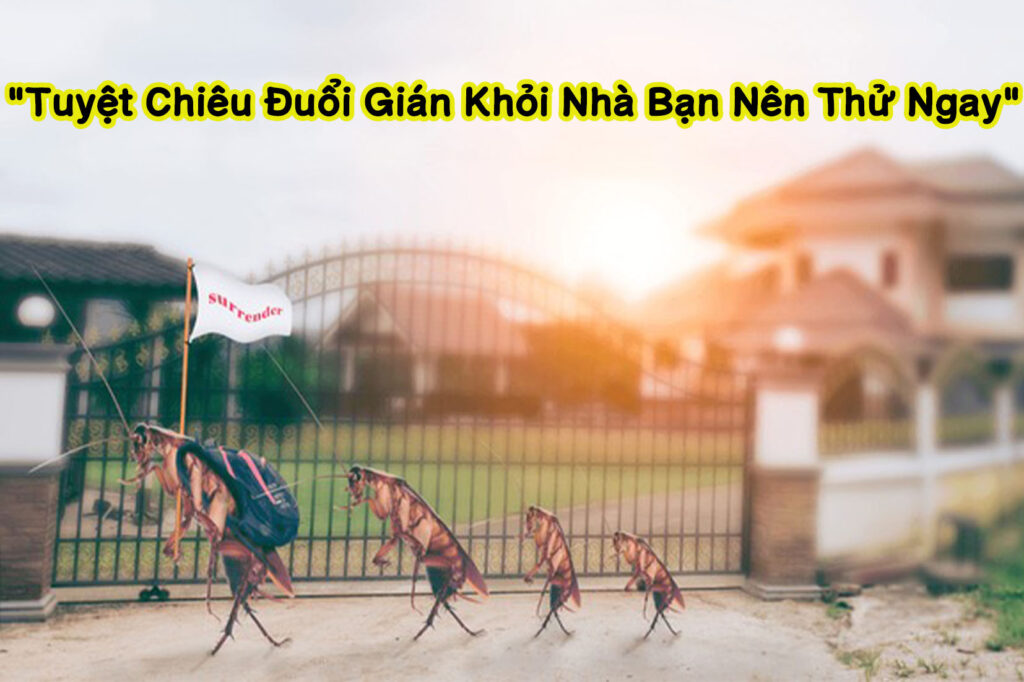 Cách đuổi gián hiệu quả