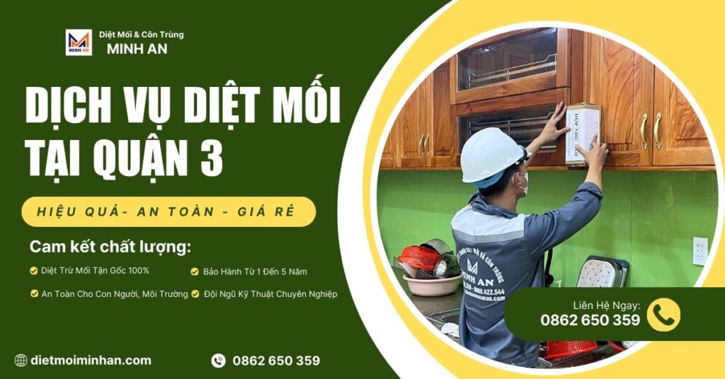 diệt mối tại quận 3