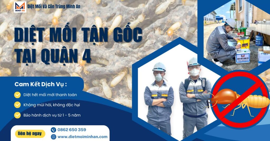 Diệt mối tận gốc tại quận 4