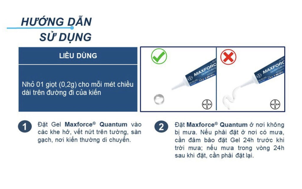 Hướng dẫn sử dụng Maxforce Quantum 0.03%
