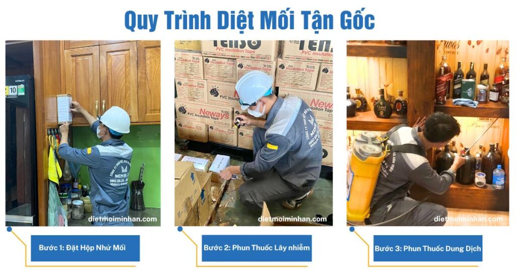 Quy trình diệt mối tại quận 4