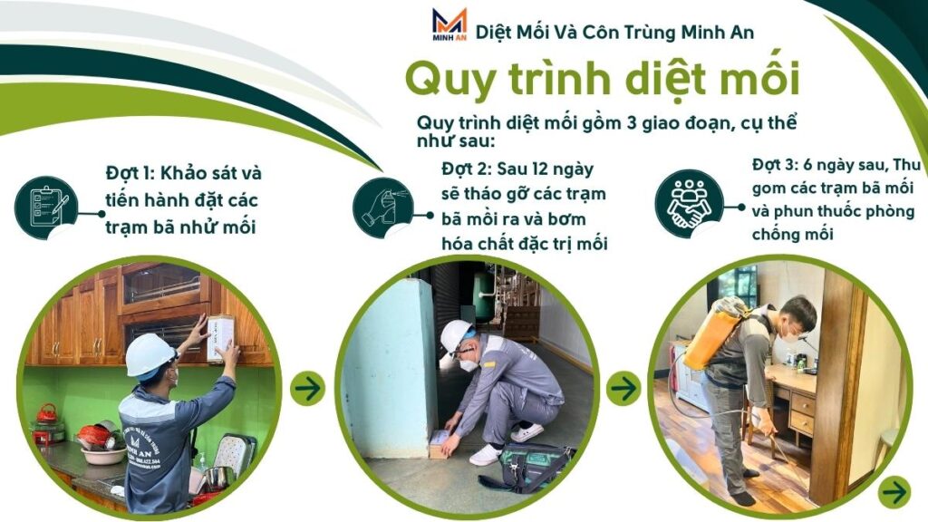 Quy trình diệt mối tại quận 5