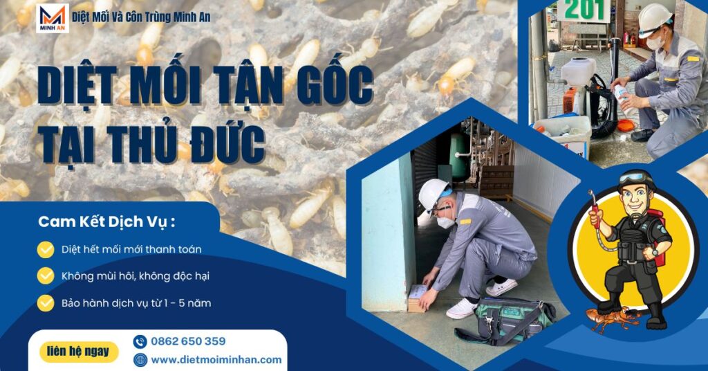 Dịch vụ diệt mối tận gốc tại Thủ Đức