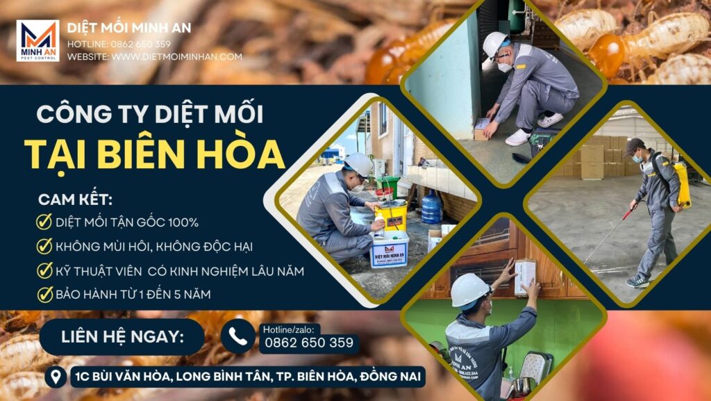 Diệt mối Biên Hòa