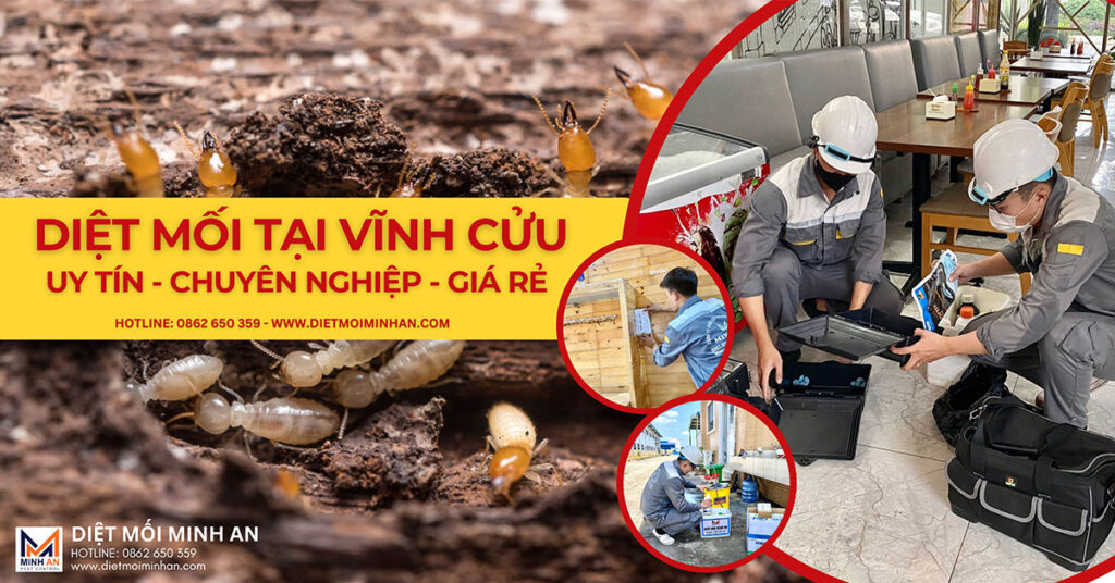 Diệt Mối Tại Vĩnh Cửu