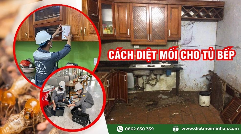 Cách diệt mối cho tủ bếp