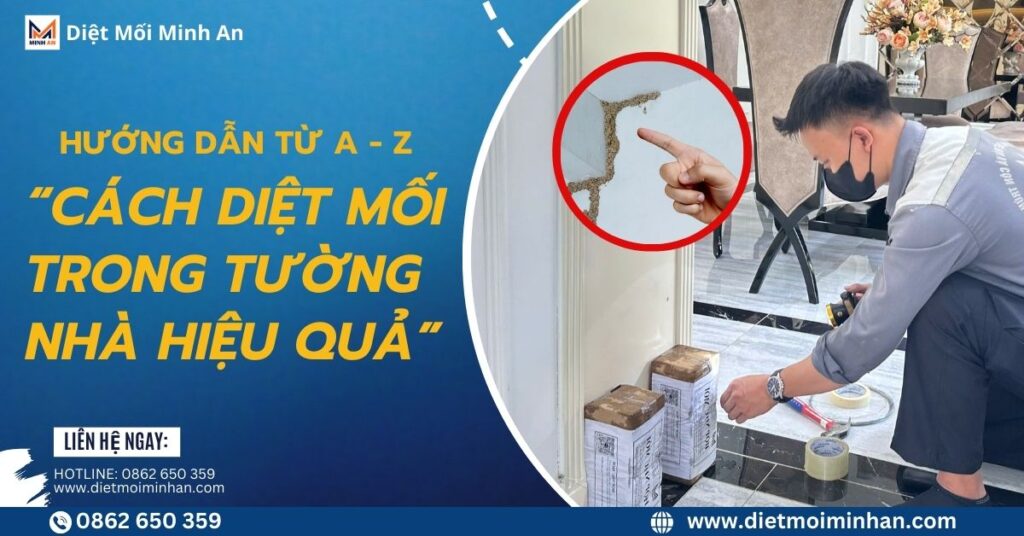 Cách diệt mối trong tường nhà