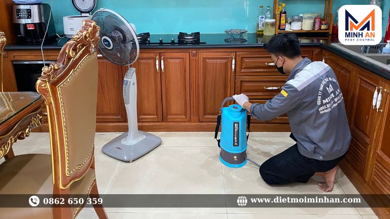 Thuốc diệt mối cho tủ bếp