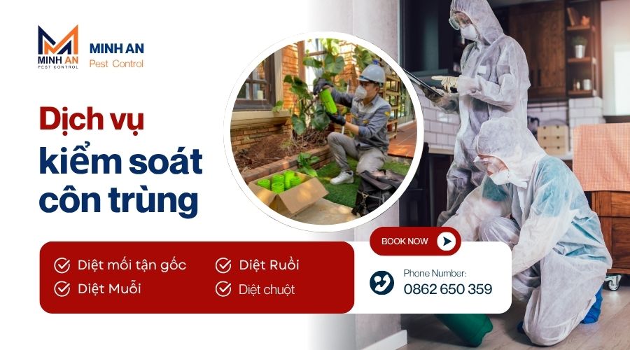 Dịch vụ diệt côn trùng tại Thủ Đức Dịch vụ diệt côn trùng tại Minh An