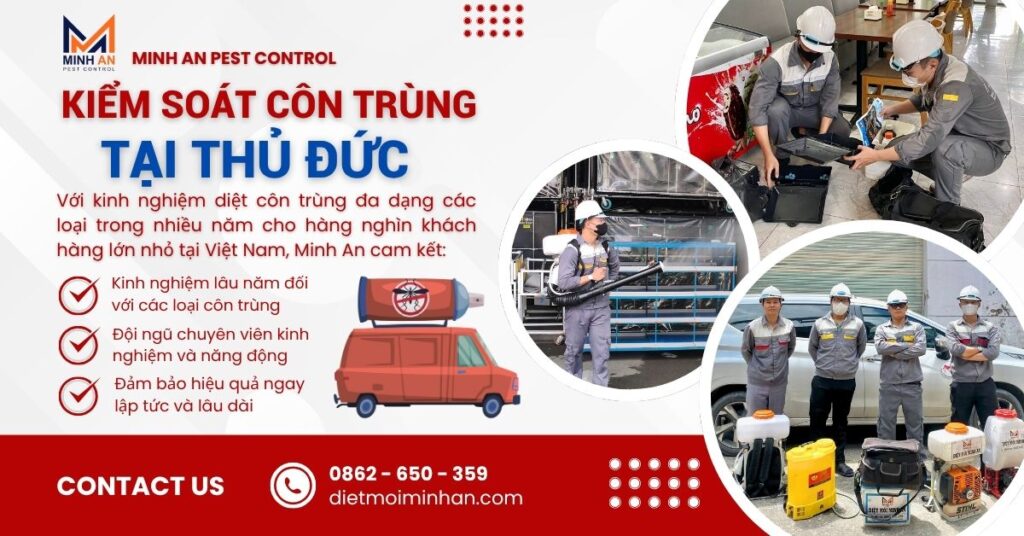 Dịch vụ diệt côn trùng tại Thủ Đức Diệt côn trùng tại thủ đức