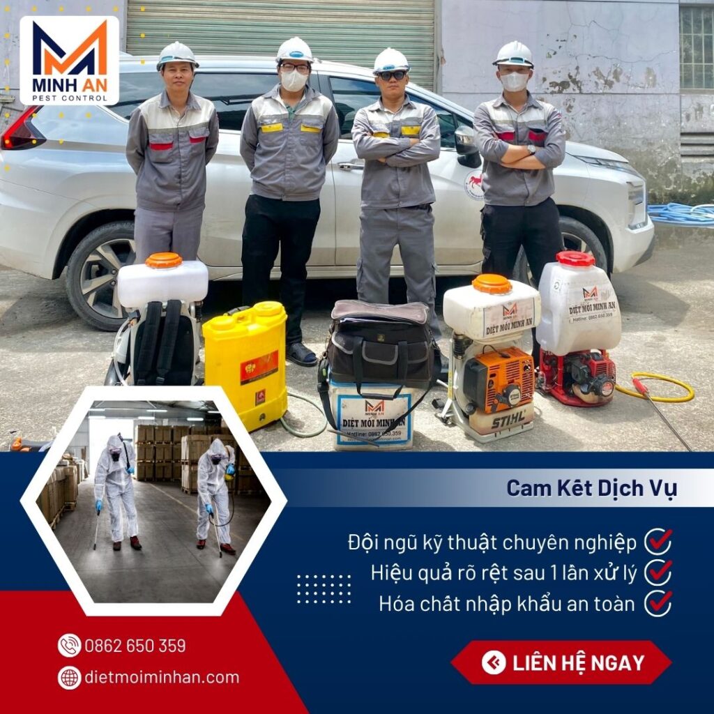 Dịch vụ diệt côn trùng tại Thủ Đức Ưu điểm dịch vụ diệt côn trùng Minh An