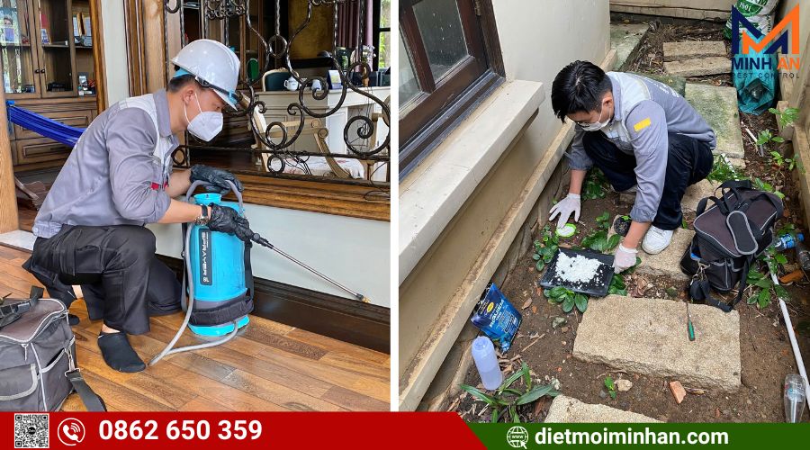 Dịch vụ diệt mối tận gốc Minh An