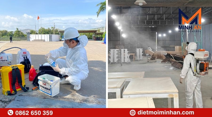 Dịch vụ diệt mọt tại Minh An