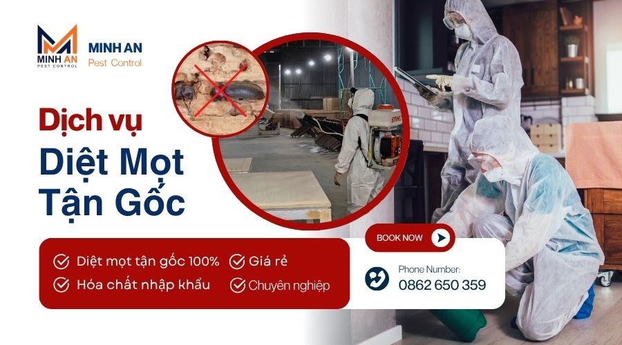 Dịch vụ diệt mọt