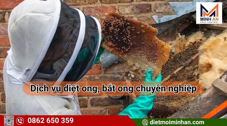 Dịch vụ bắt diệt ong