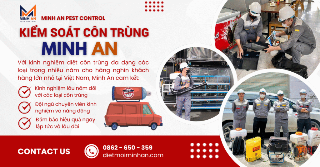 Kiểm soát côn trùng Minh An