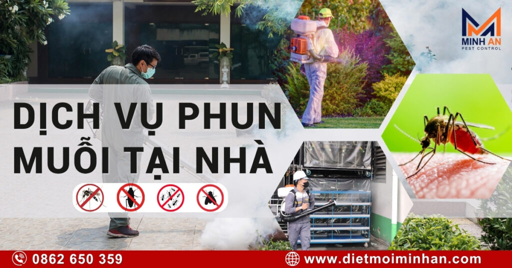 Dịch vụ phun thuốc diệt muỗi tại nhà