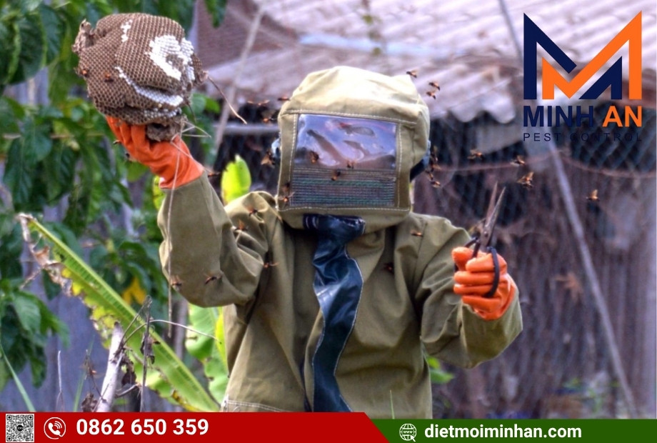 Dịch vụ diệt tổ ong tại TP.HCM – Minh An | Nhanh, An Toàn, Giá Rẻ, 24/7 Quy trình 5 bước xử lý tổ ong