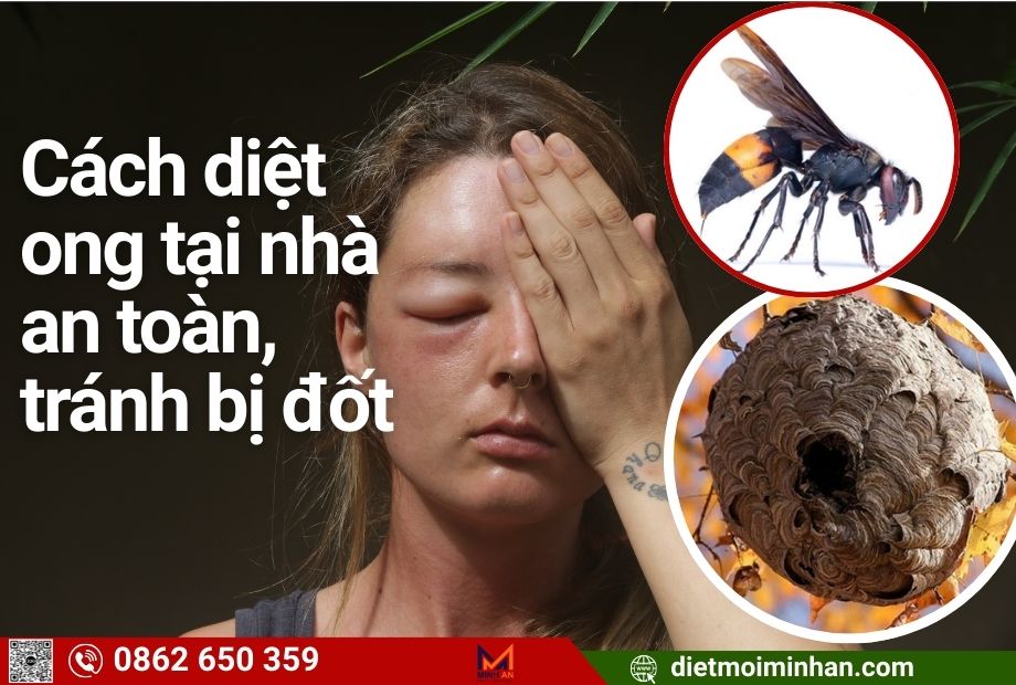 Cách Diệt Ong & Đuổi Ong Ra Khỏi Nhà An Toàn | Minh An Hỗ Trợ 24/7 Cách diệt ong
