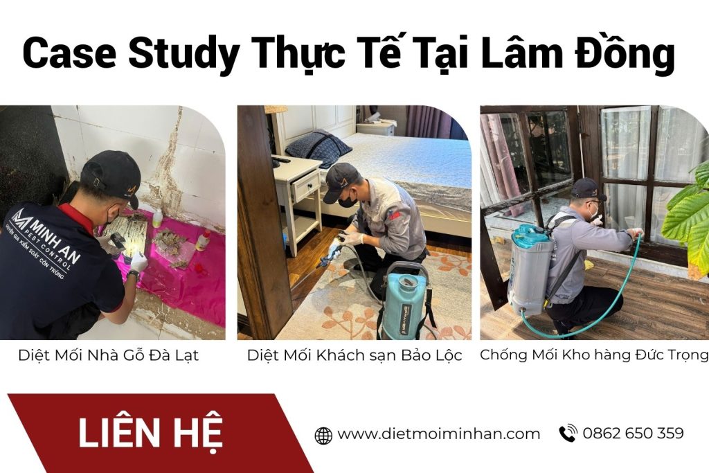Hình ảnh thi công thực tế tại Lâm Đồng
