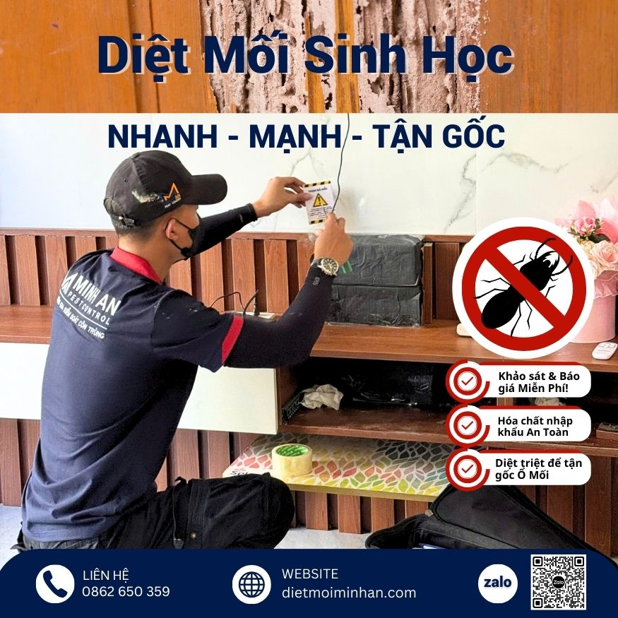 Phương pháp diệt mối sinh học tại Gò Vấp