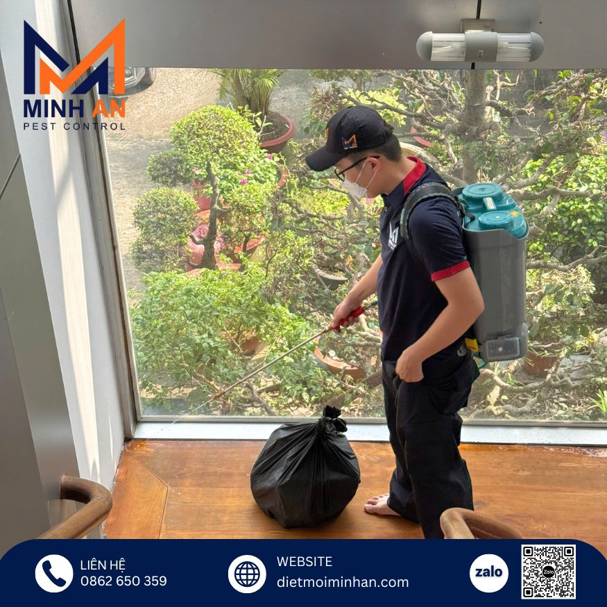 Phòng mối tái xâm nhập