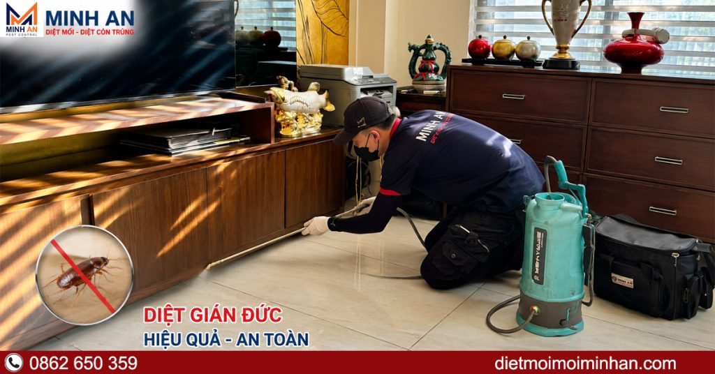 dịch vụ diệt gián Đức của Minh An