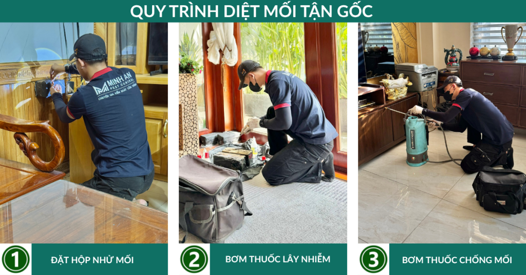 diệt mối tận gốc tại Quận Tân Phú